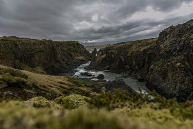 Niezwykła przyroda Islandii - Islandia